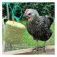 Feldy - Hanging Pecker Block for Chickens (Seaweed Flavour) - 1.25kg
