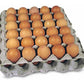 Recycled Fibre Egg Trays (Each) - Buy Online SPR Centre UK