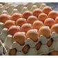 Recycled Fibre Egg Trays (Each) - Buy Online SPR Centre UK