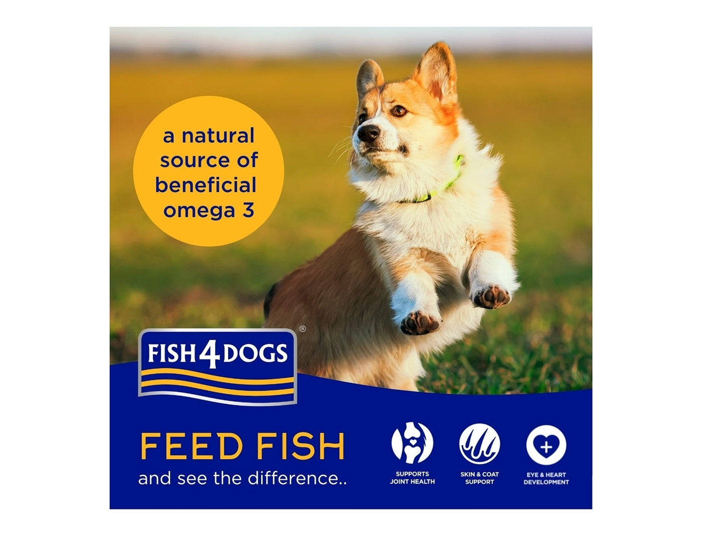 Fish4Dogs - Finest Adult White Fish & Potato (Large Kibble) 1.5kg - Buy Online SPR Centre UK