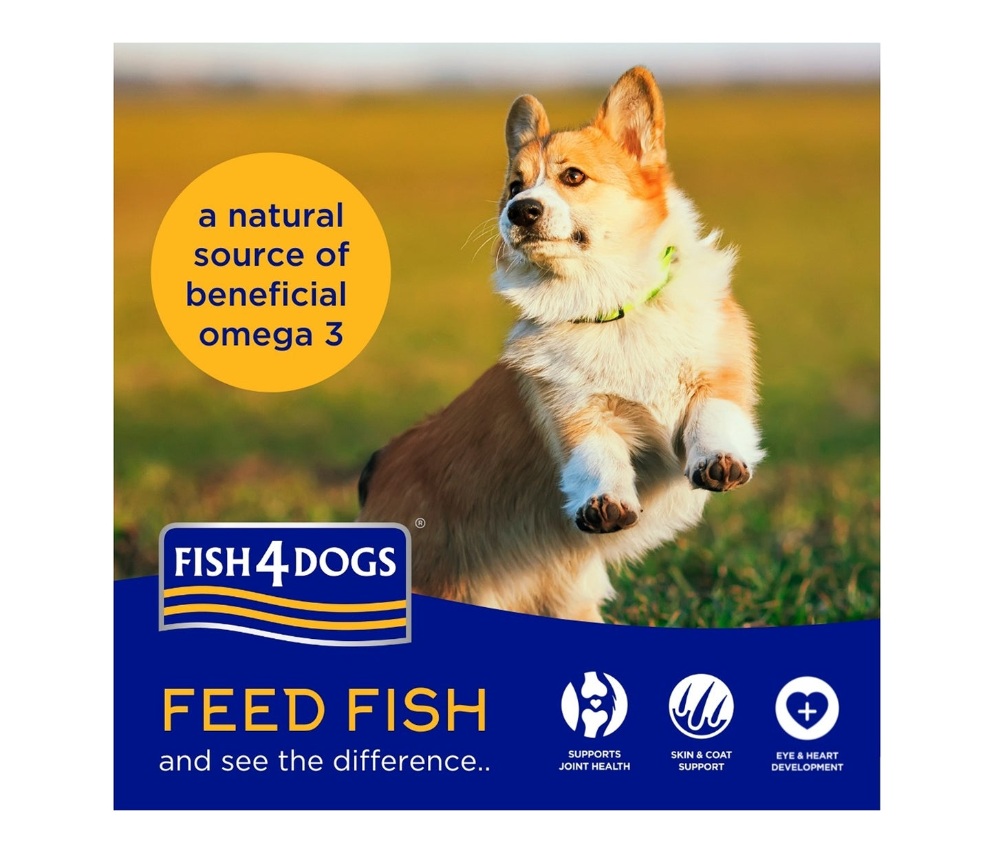 Fish4Dogs - Finest Adult Sardine & Sweet Potato (Small Kibble) - Buy Online SPR Centre UK