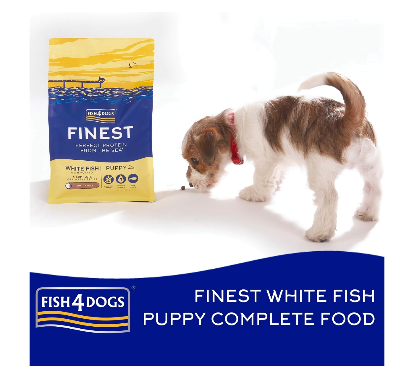Fish4Dogs - Finest Puppy White Fish & Potato (Small Kibble) 1.5kg - Buy Online SPR Centre UK