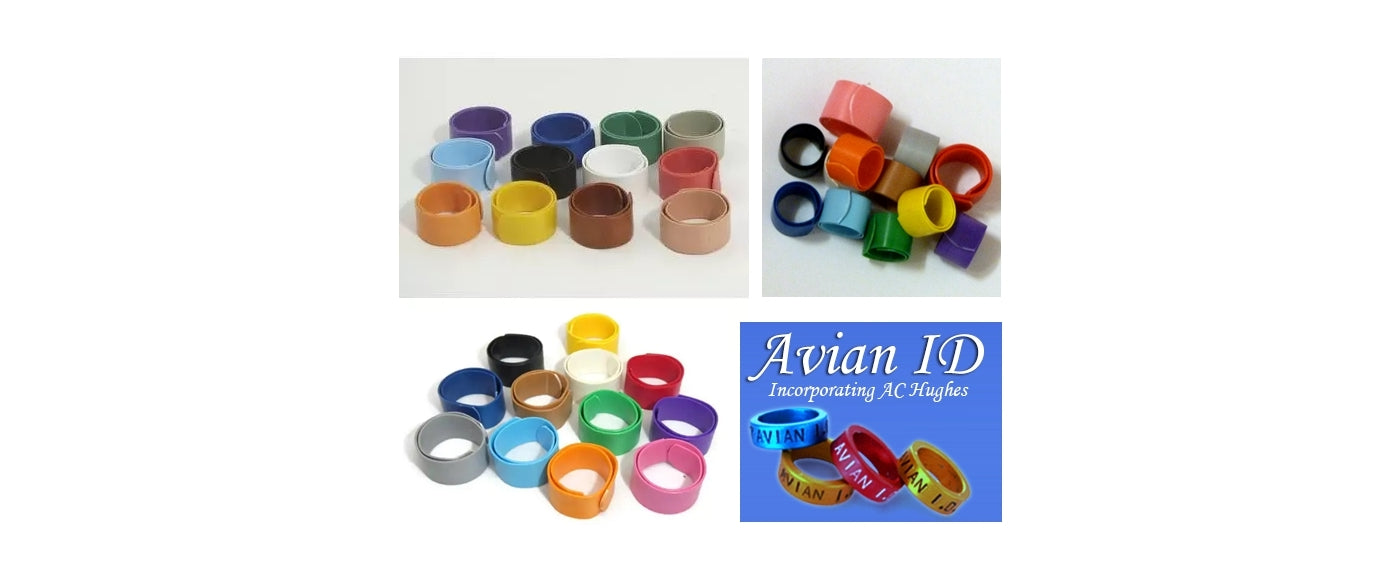 Avian ID - Flatband Leg Rings Size 2 (6.4mm) - Each