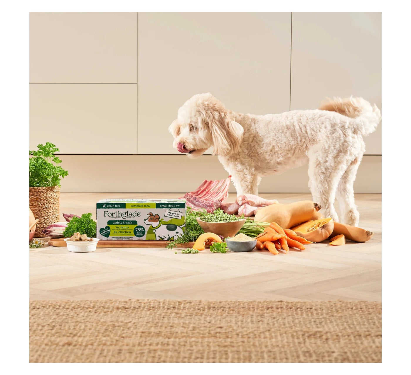 Forthglade Chicken & Lamb Wet Dog Food - Small Dog Variety Pack - Buy Online SPR Centre UK