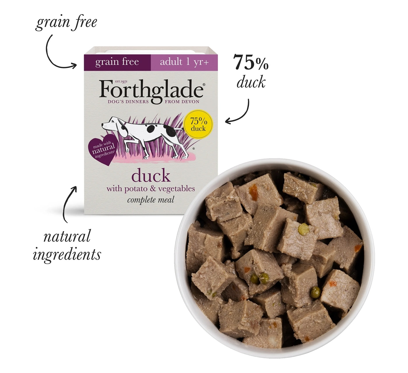 Forthglade - Chicken and Duck Wet Dog Food Variety Pack - 12 x 395g