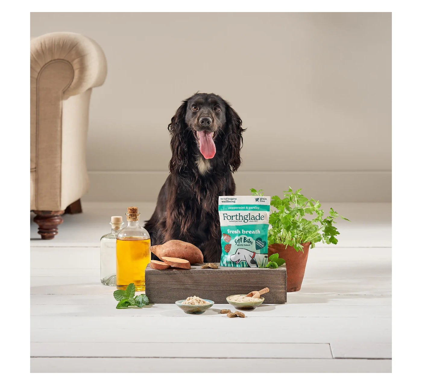 Forthglade Fresh Breath Soft Bites | Dog Treats - Buy Online SPR Centre UK