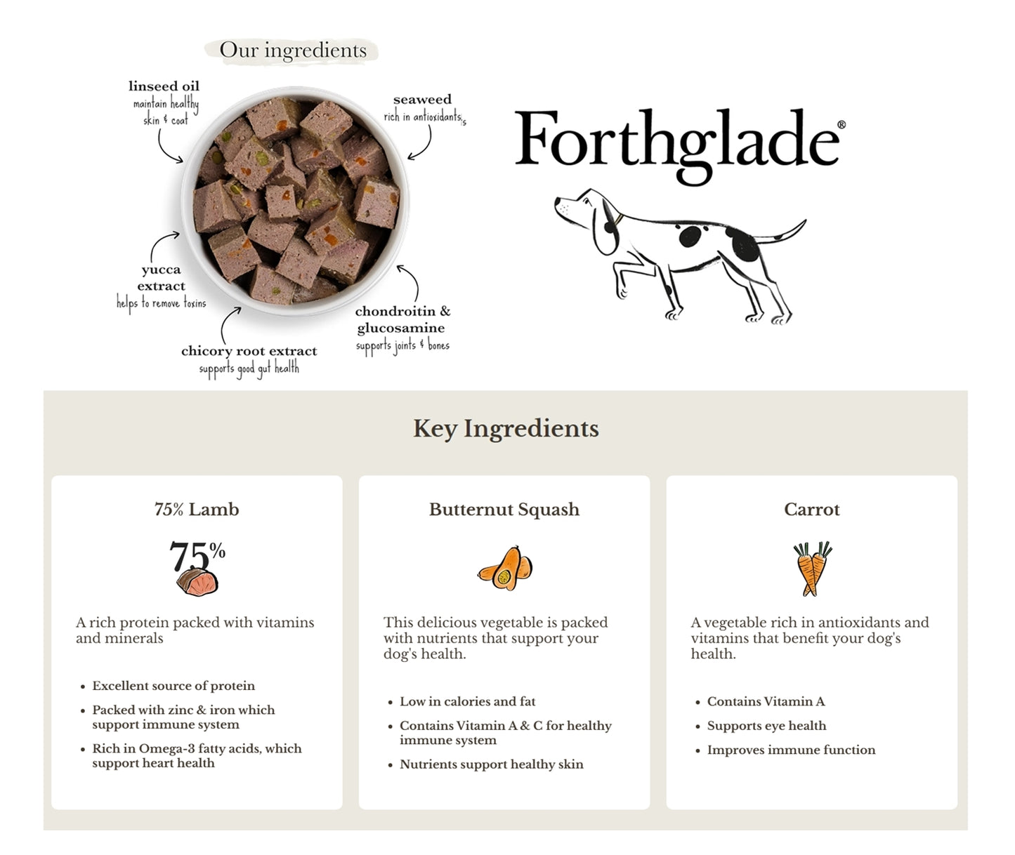 Forthglade - Lamb with Butternut Squash & Vegetables - 395g