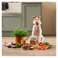 Forthglade - National Trust Beef & Wild Boar Gourmet Wet Dog Food - Buy Online SPR Centre 