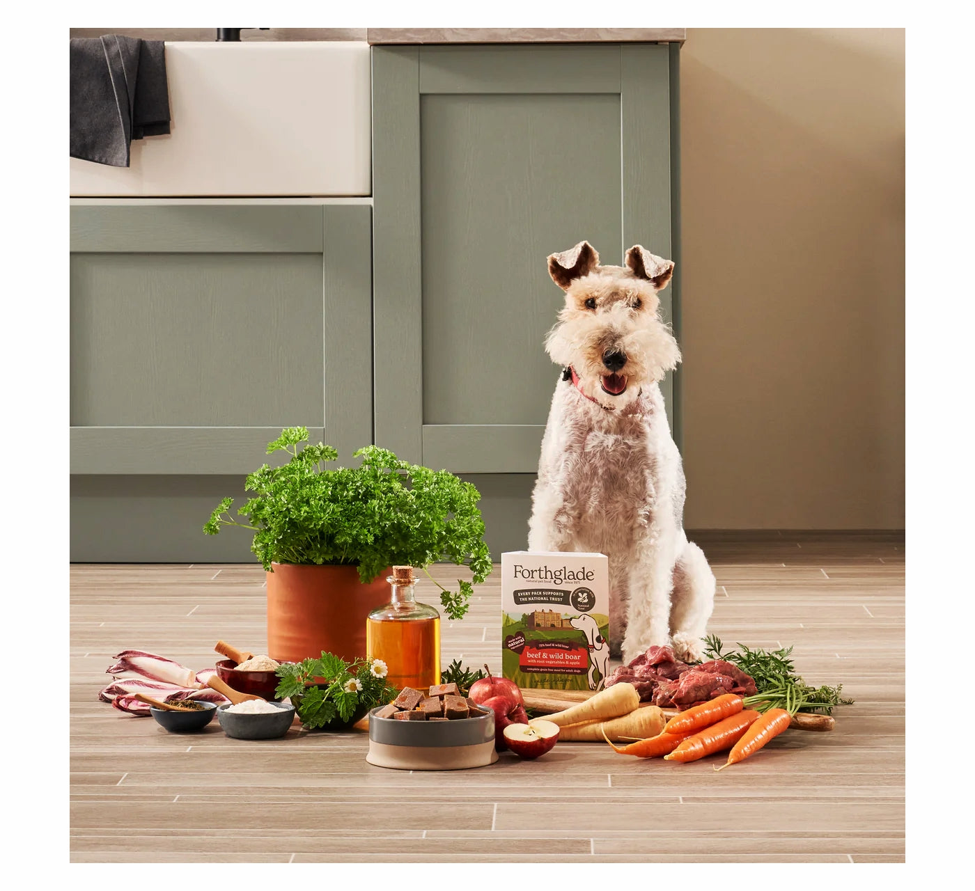 Forthglade - National Trust Beef & Wild Boar Gourmet Wet Dog Food - Buy Online SPR Centre 