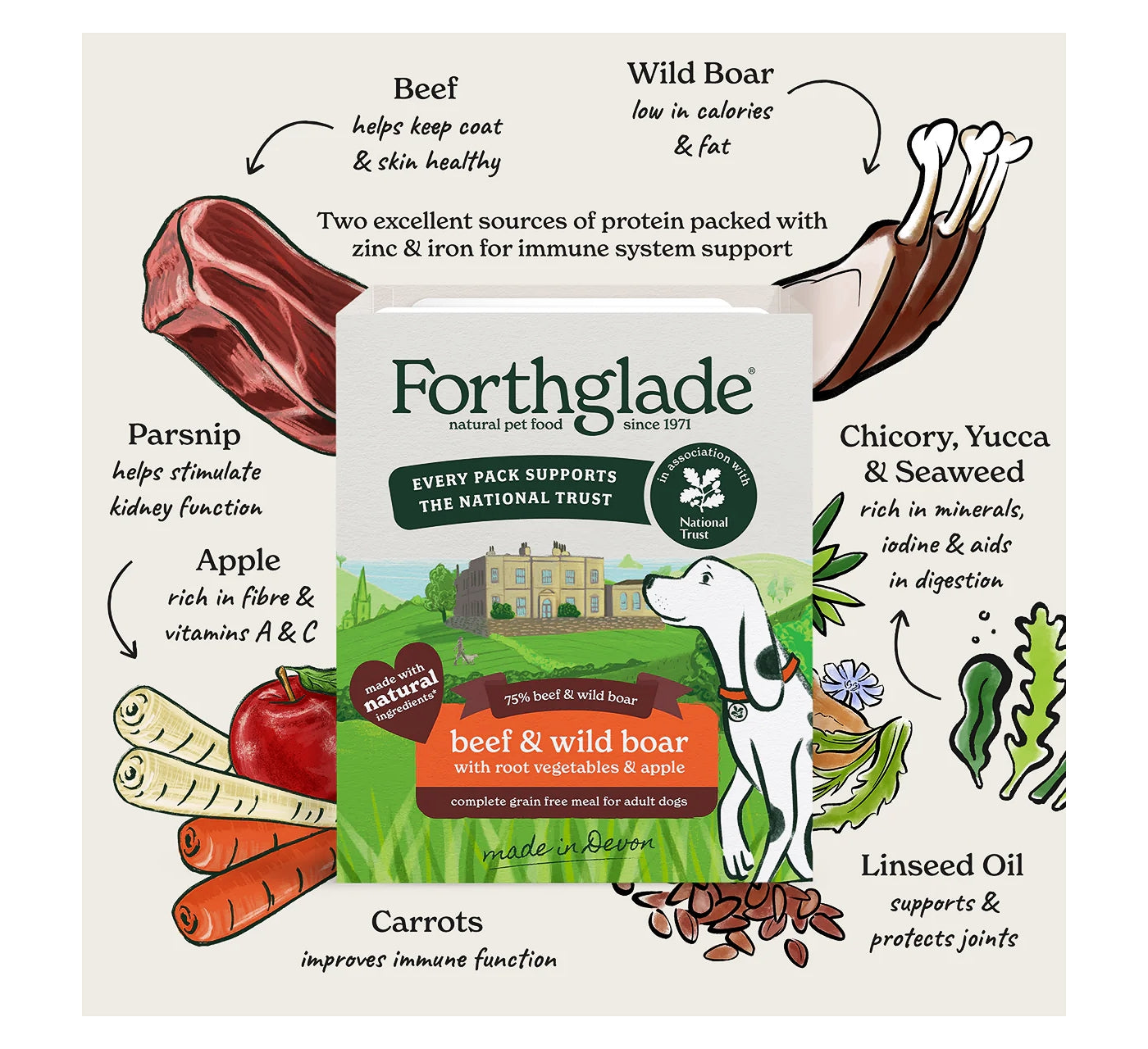 Forthglade - National Trust Beef & Wild Boar Gourmet Wet Dog Food - Buy Online SPR Centre 