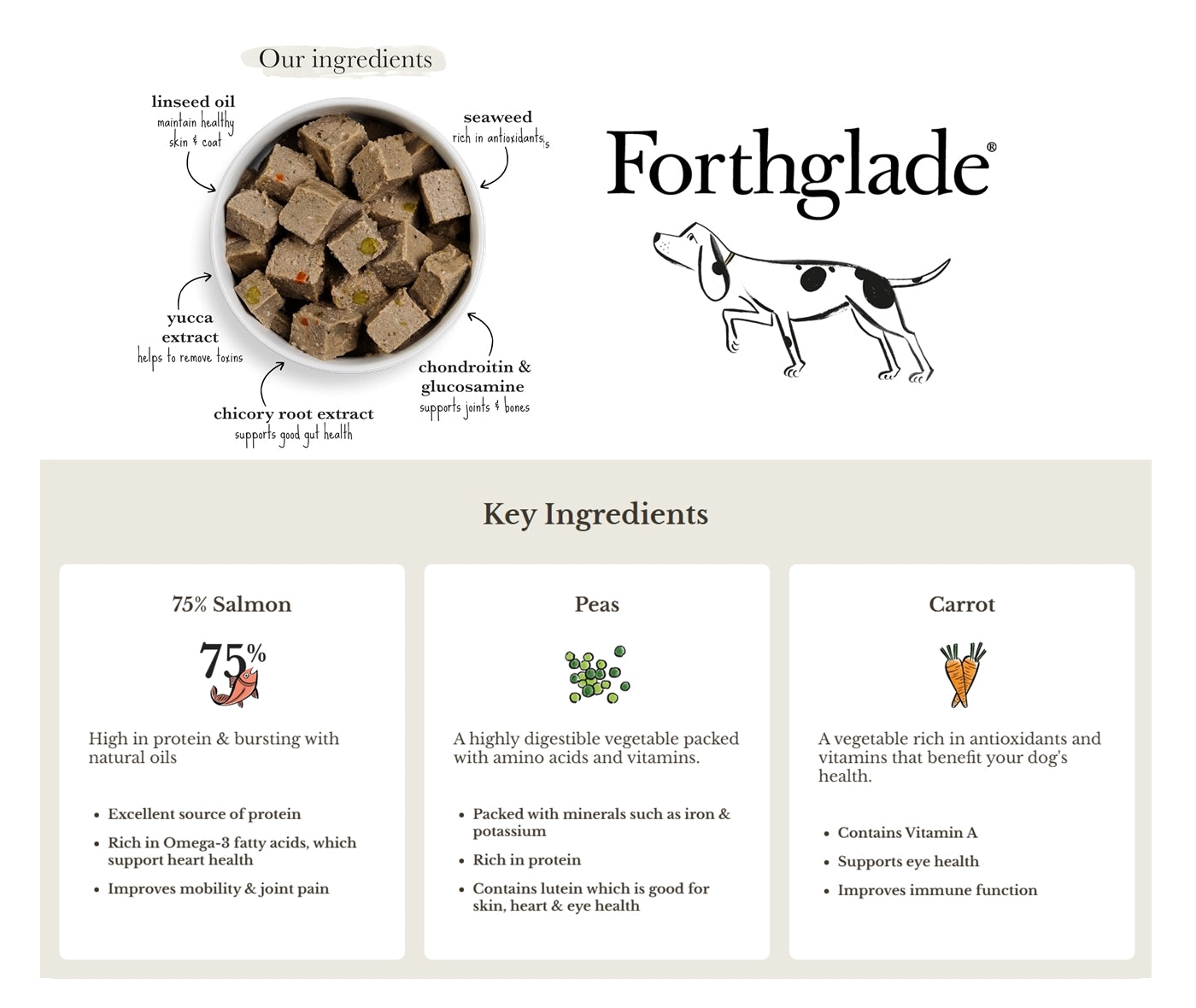 Forthglade - Salmon with Potato Wet Dog Food - Buy Online SPR Centre UK