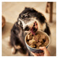 Forthglade - Senior Lamb with Butternut Squash - Buy Online SPR Centre UK