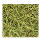 Friendly - Timothy ReadiGrass | Small Animal Food - Buy Online SPR Centre UK