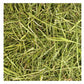 Friendly - Timothy ReadiGrass | Small Animal Food - Buy Online SPR Centre UK