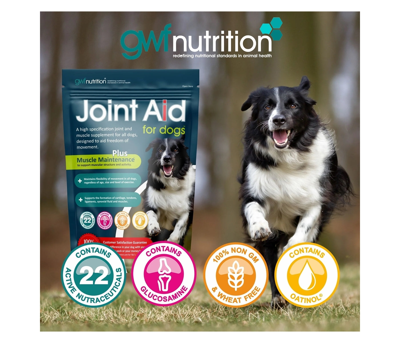 GWF Nutrition - Joint Aid for Dogs™ - Buy Online SPR Centre UK