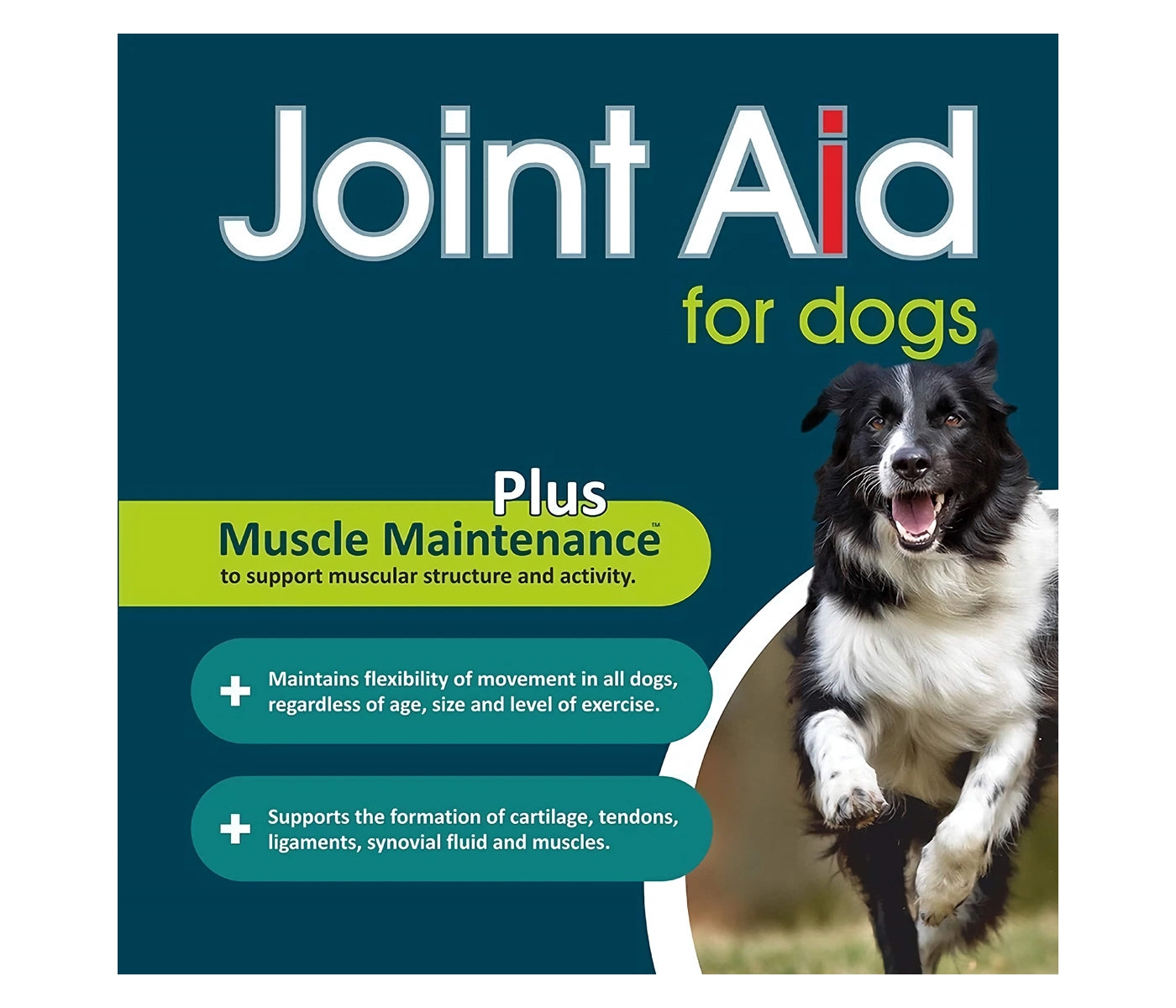 GWF Nutrition - Joint Aid for Dogs™ - Buy Online SPR Centre UK