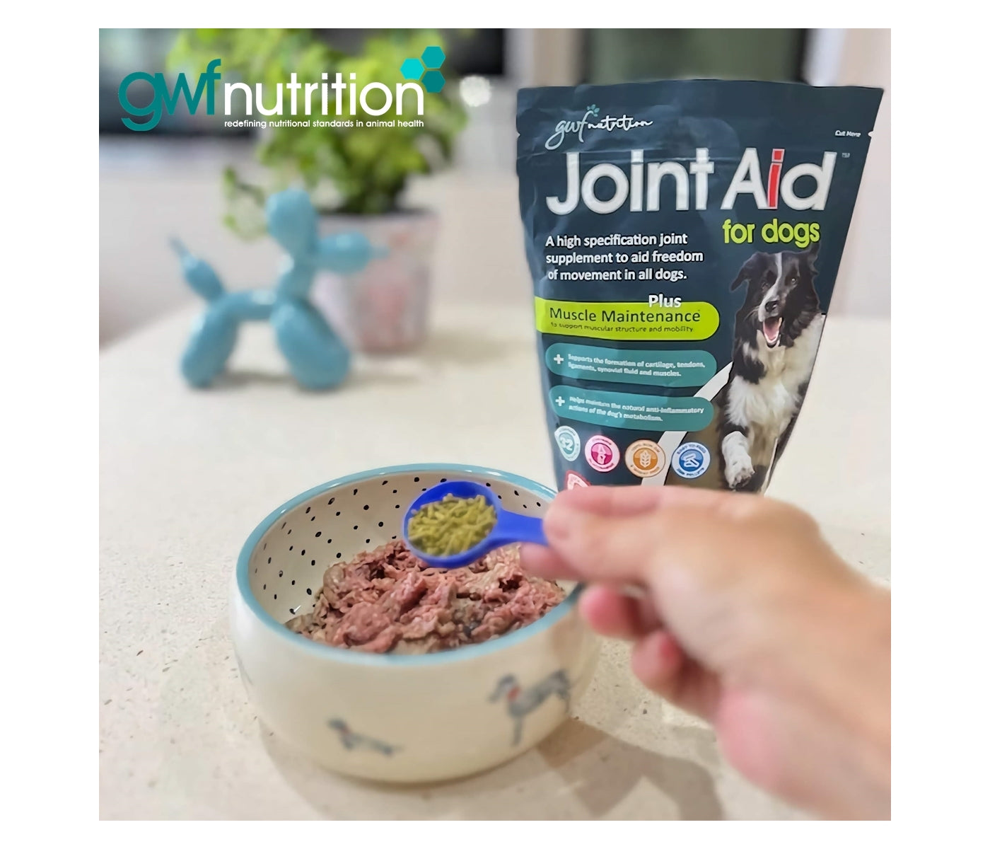 GWF Nutrition - Joint Aid for Dogs™ - Buy Online SPR Centre UK