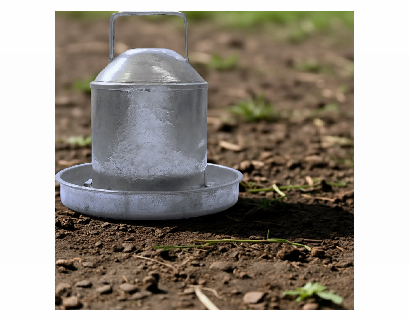 Heritage - Galvanised Poultry Drinker - ½ Gallon Capacity