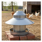 Galvanised Metal Poultry Feeder 2.2kg Capacity - Buy Online SPR Centre UK
