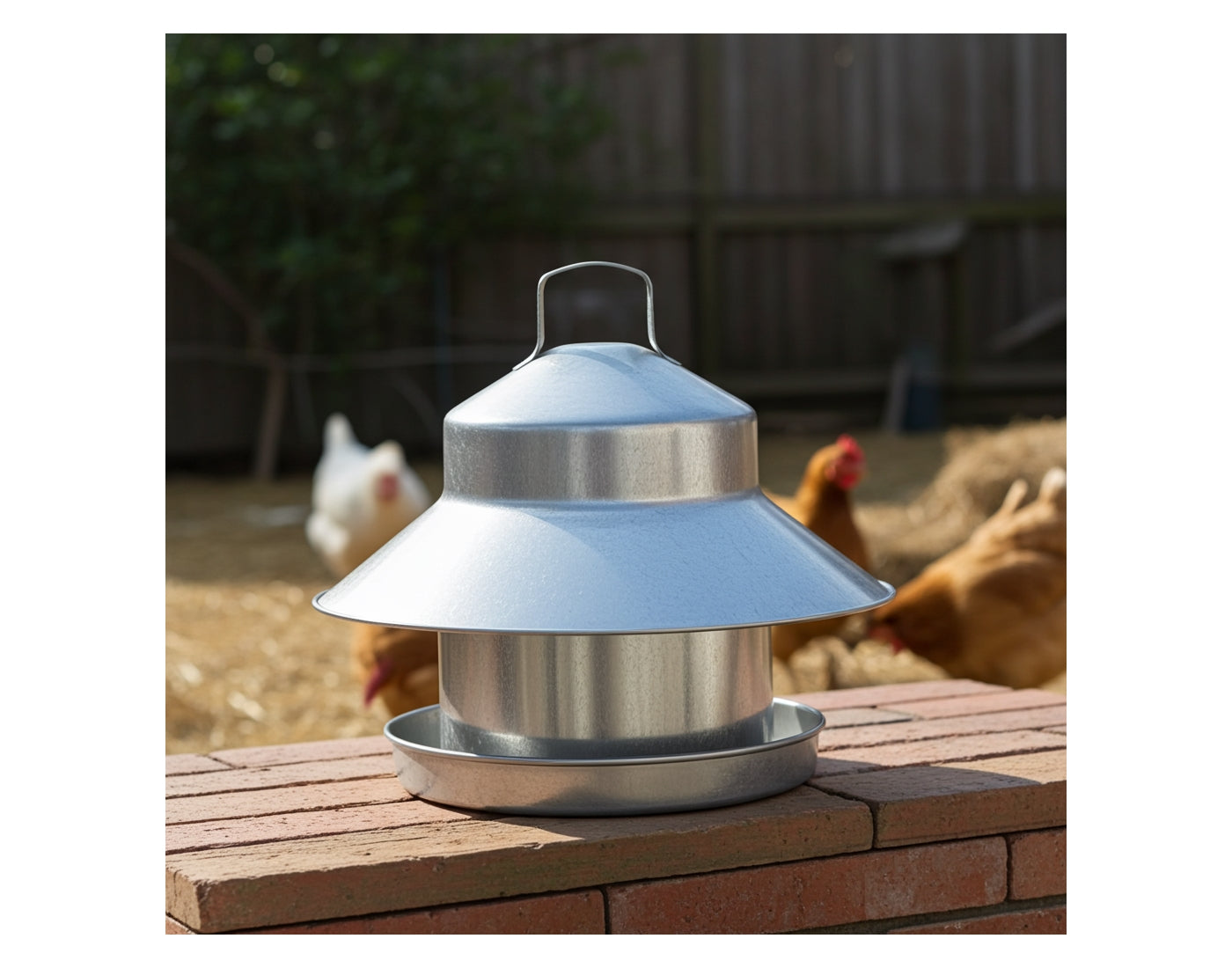 Galvanised Metal Poultry Feeder 6.7kg Capacity - Buy Online SPR Centre UK