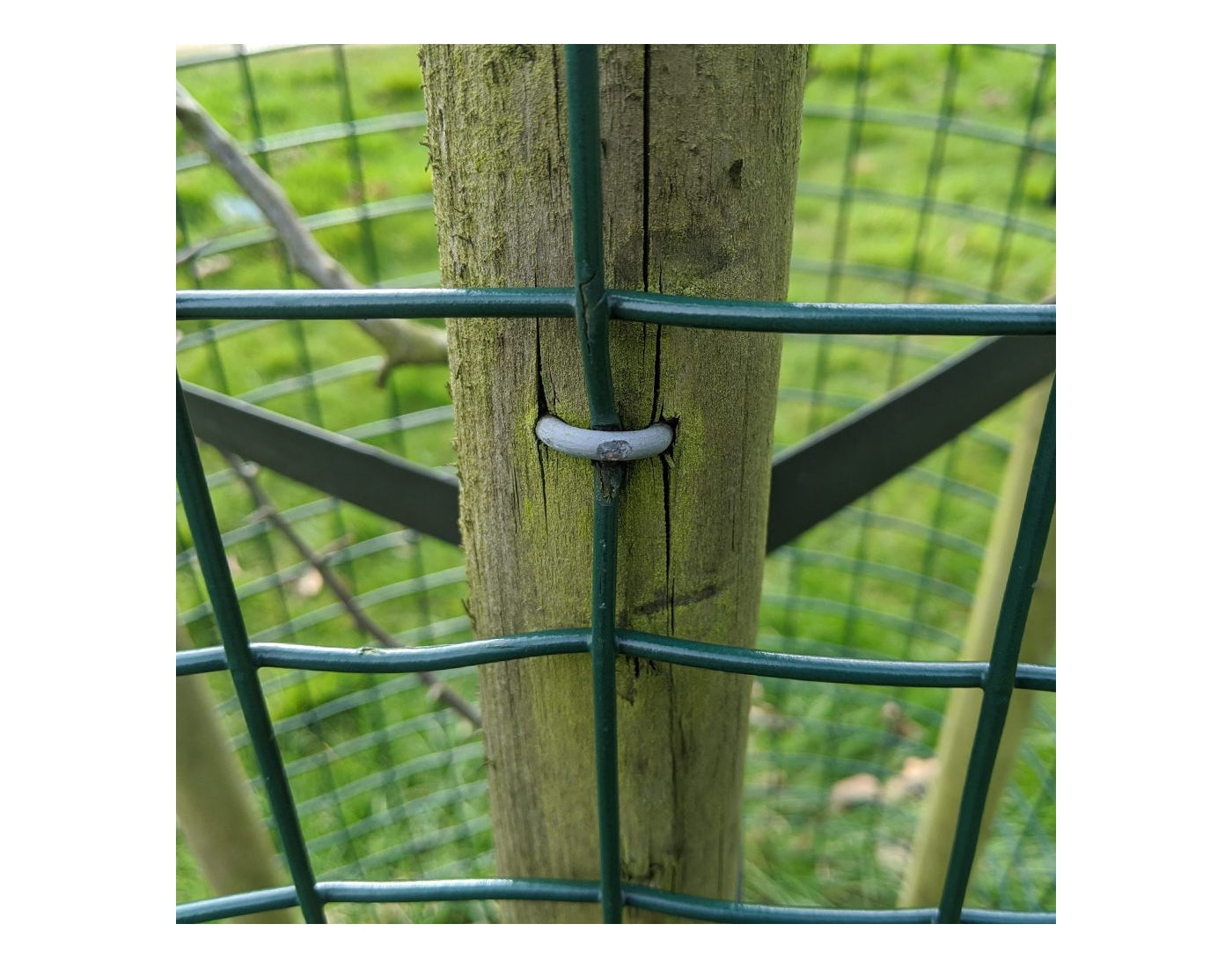 Galvanised Fence Staples - 40mm x 4.0mm - 500g - Buy Online SPR Centre UK