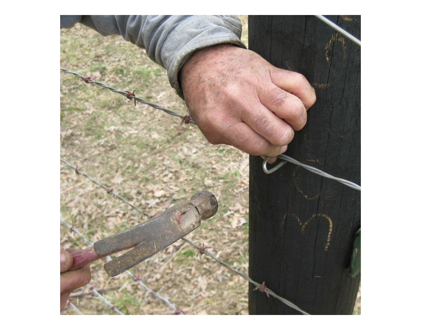 Galvanised Fence Staples - 40mm x 4.0mm - 500g - Buy Online SPR Centre UK