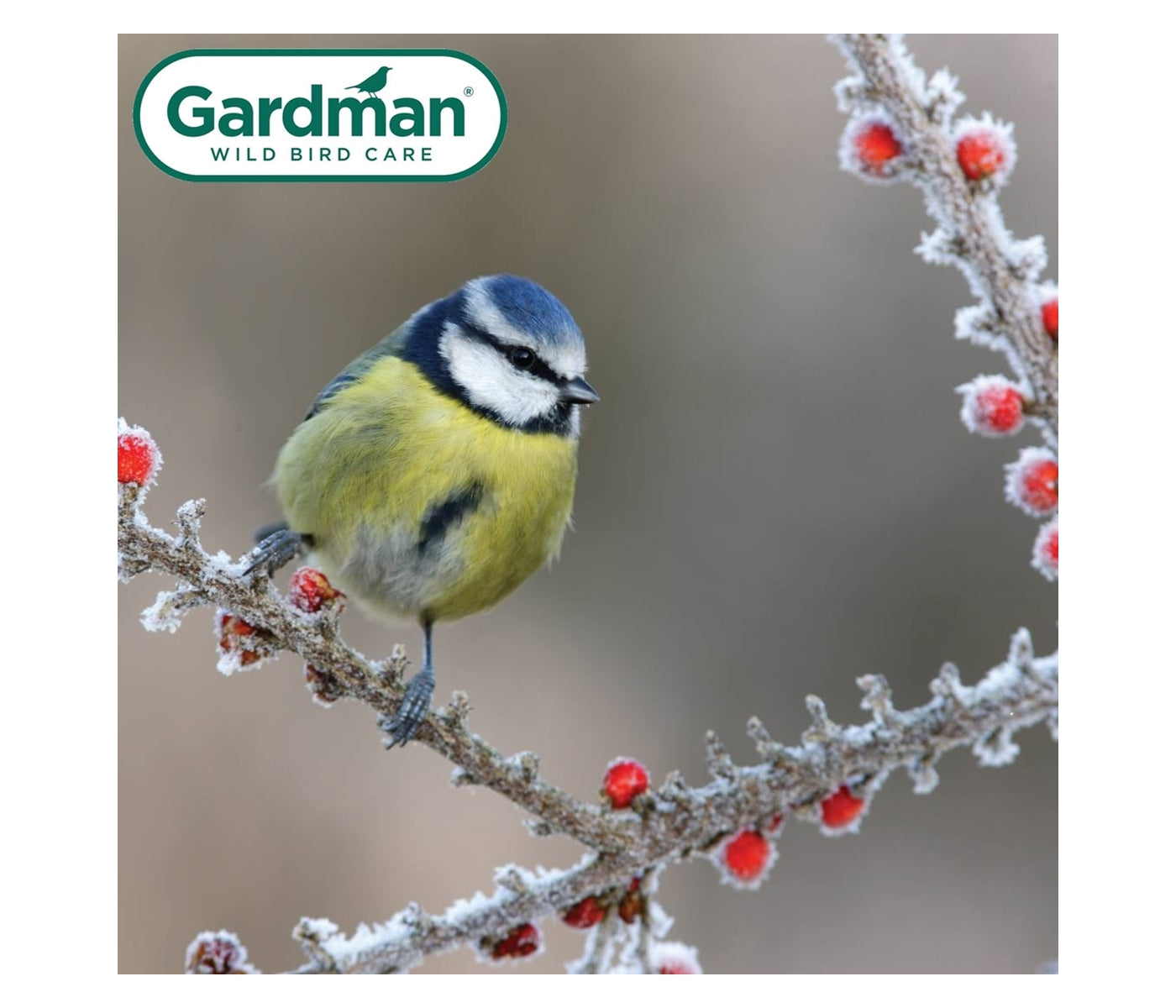 Gardman - Heavy Duty Seed Feeder - Buy Online SPR Centre UK
