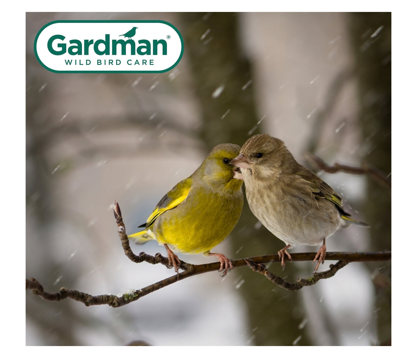 Gardman - Heavy Duty Seed Feeder - Buy Online SPR Centre UK