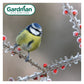 Gardman - Flip-Top Suet Treats & Mealworm Feeder - Buy Online SPR Centre UK
