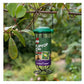 Gardman - Flip Top Fat Snax Feeder | Wild Bird Feeder - Buy Online SPR Centre UK