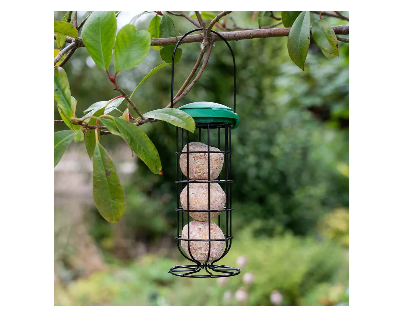 Gardman - Flip Top Fat Snax Feeder | Wild Bird Feeder - Buy Online SPR Centre UK