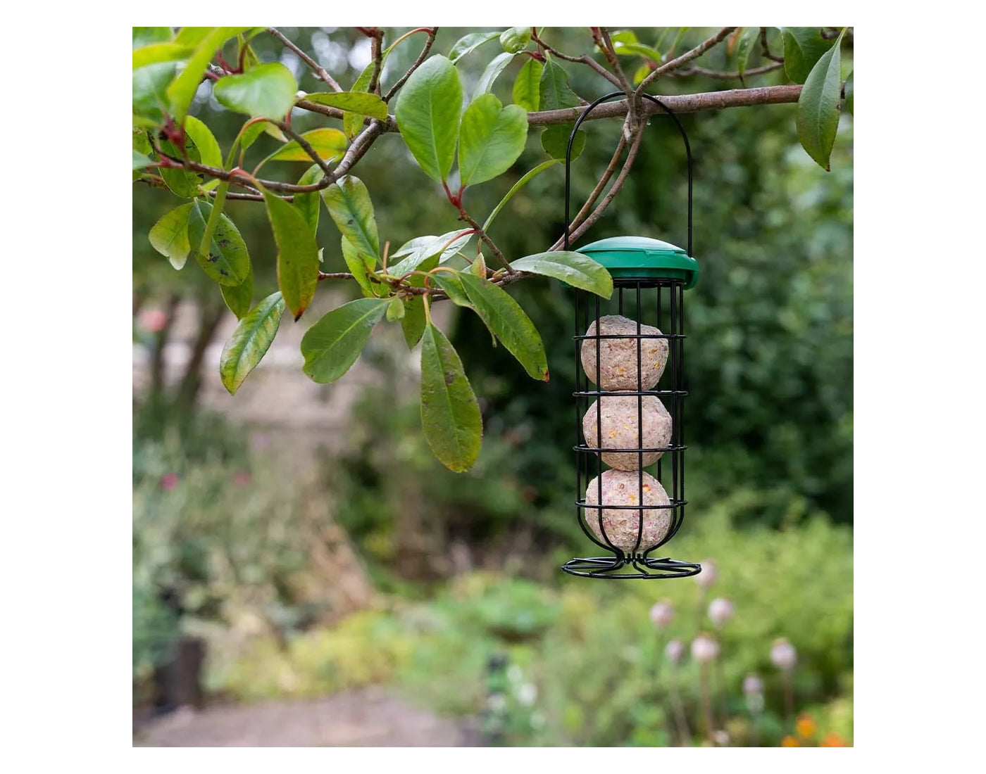 Gardman - Flip Top Fat Snax Feeder | Wild Bird Feeder - Buy Online SPR Centre UK