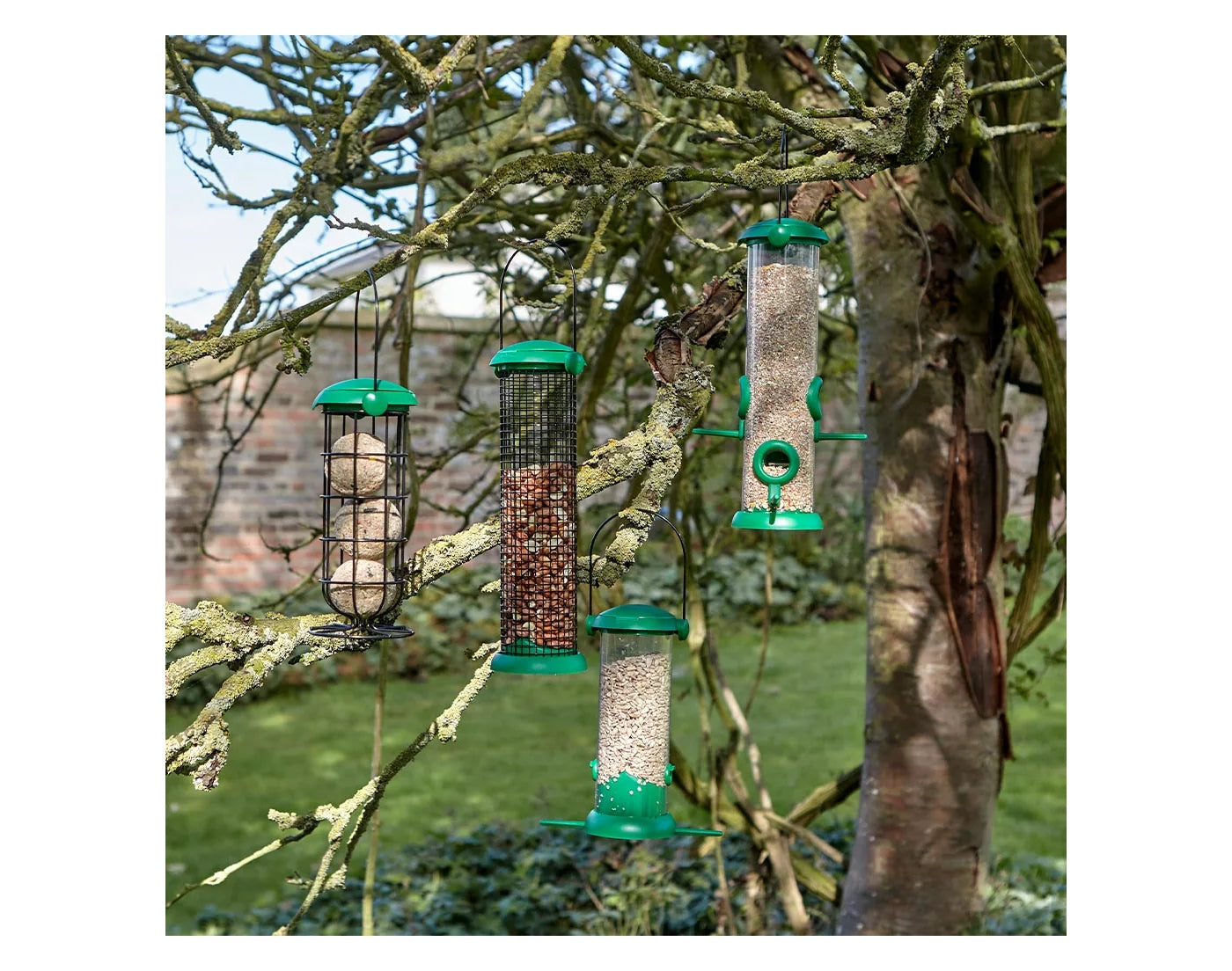 Gardman - Flip Top Peanut Feeder (Small) | Wild Bird Feeder - Buy Online SPR Centre UK