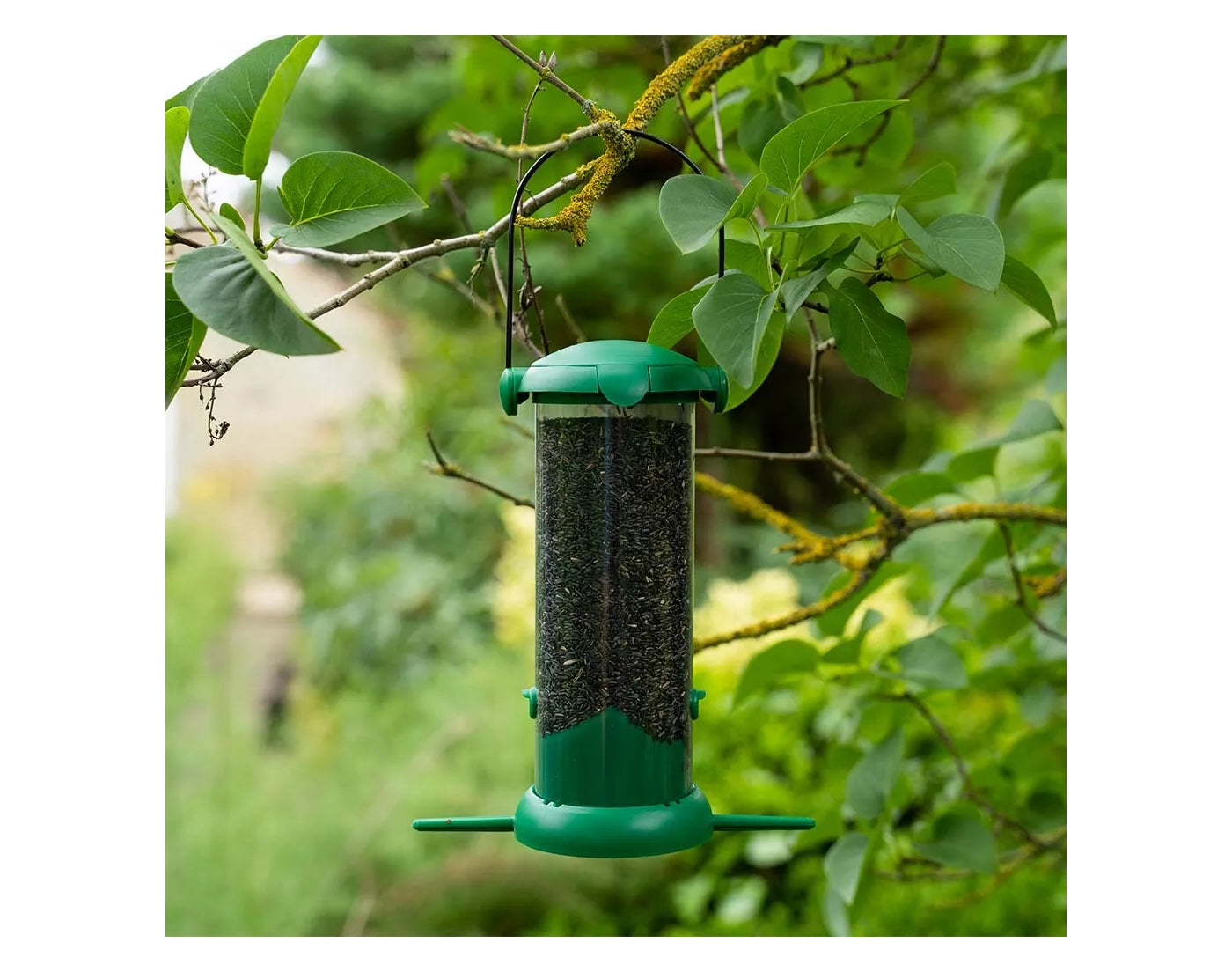 Gardman - Flip Top Nyjer Seed Feeder | Wild Bird Feeder - Buy Online SPR Centre UK