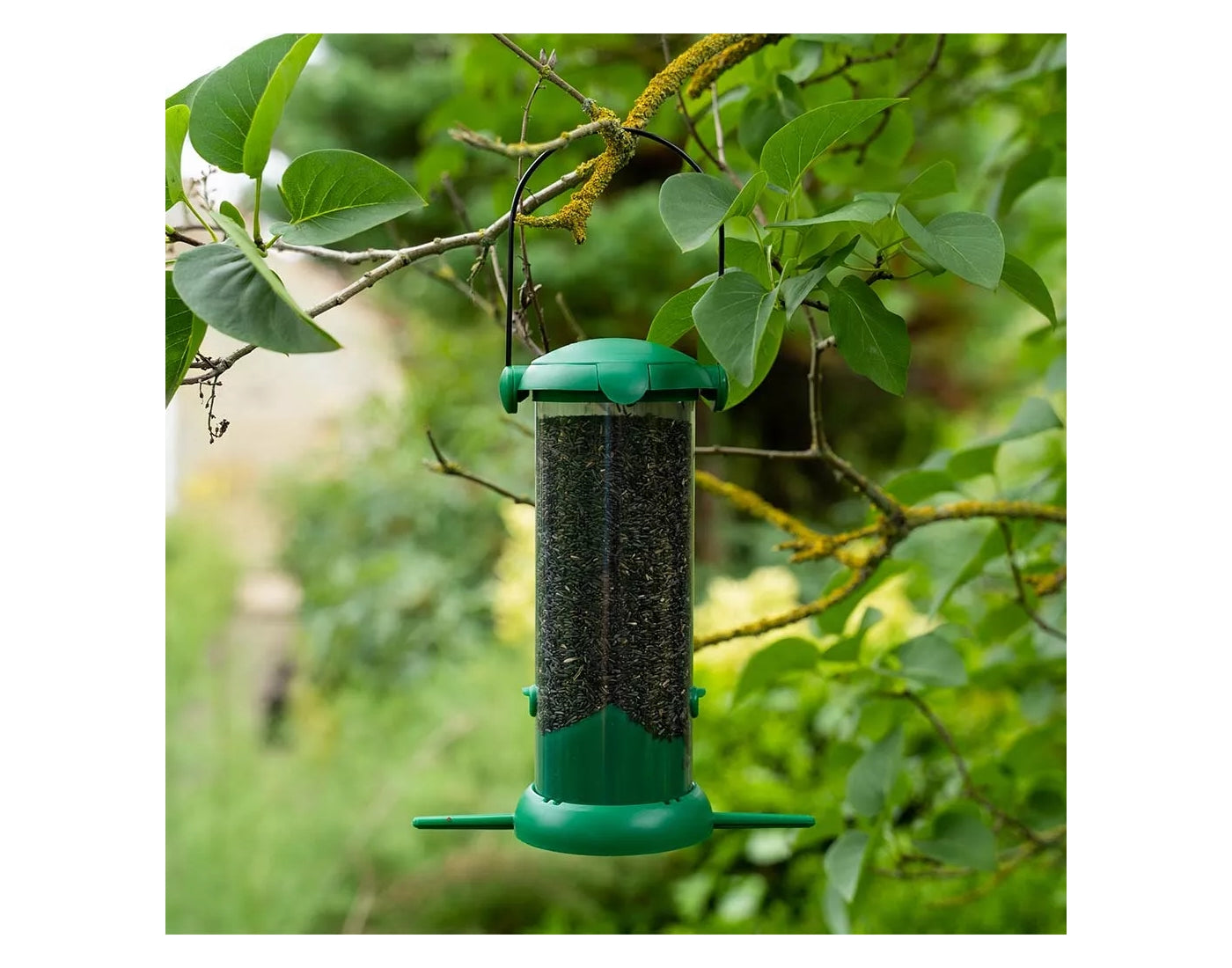 Gardman - Flip Top Nyjer Seed Feeder - Buy Online SPR Centre UK