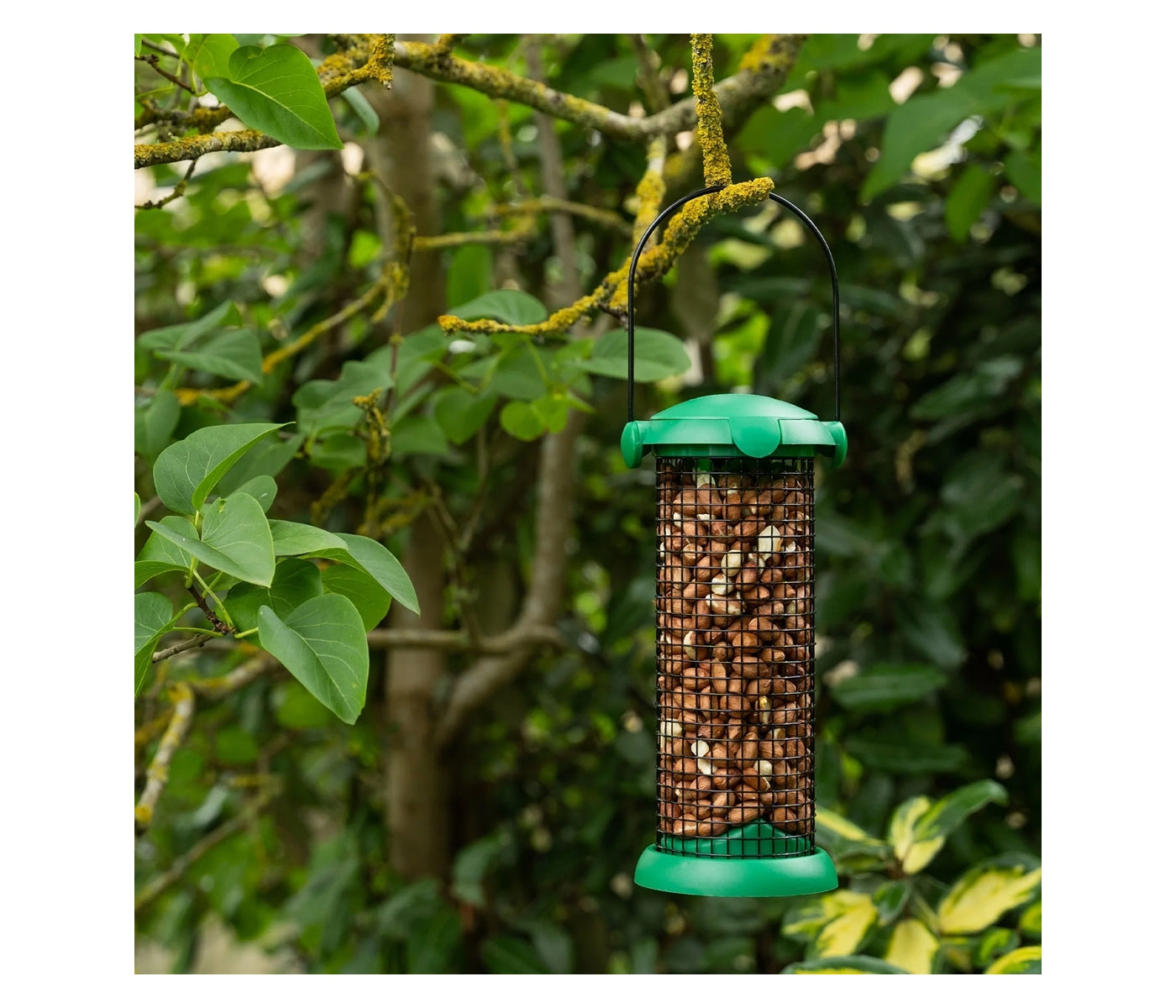 Gardman - Flip Top Peanut Feeder - Buy Online SPR Centre UK