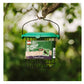 Gardman Flip Top Suet Feast Feeder | Wild Bird Care - Buy Online SPR Centre UK