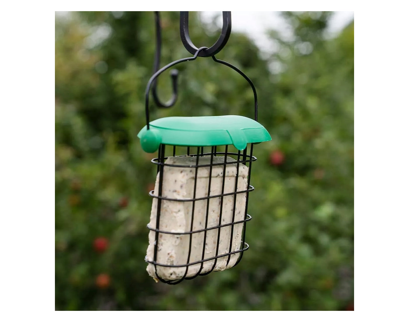 Gardman Flip Top Suet Feast Feeder | Wild Bird Care - Buy Online SPR Centre UK