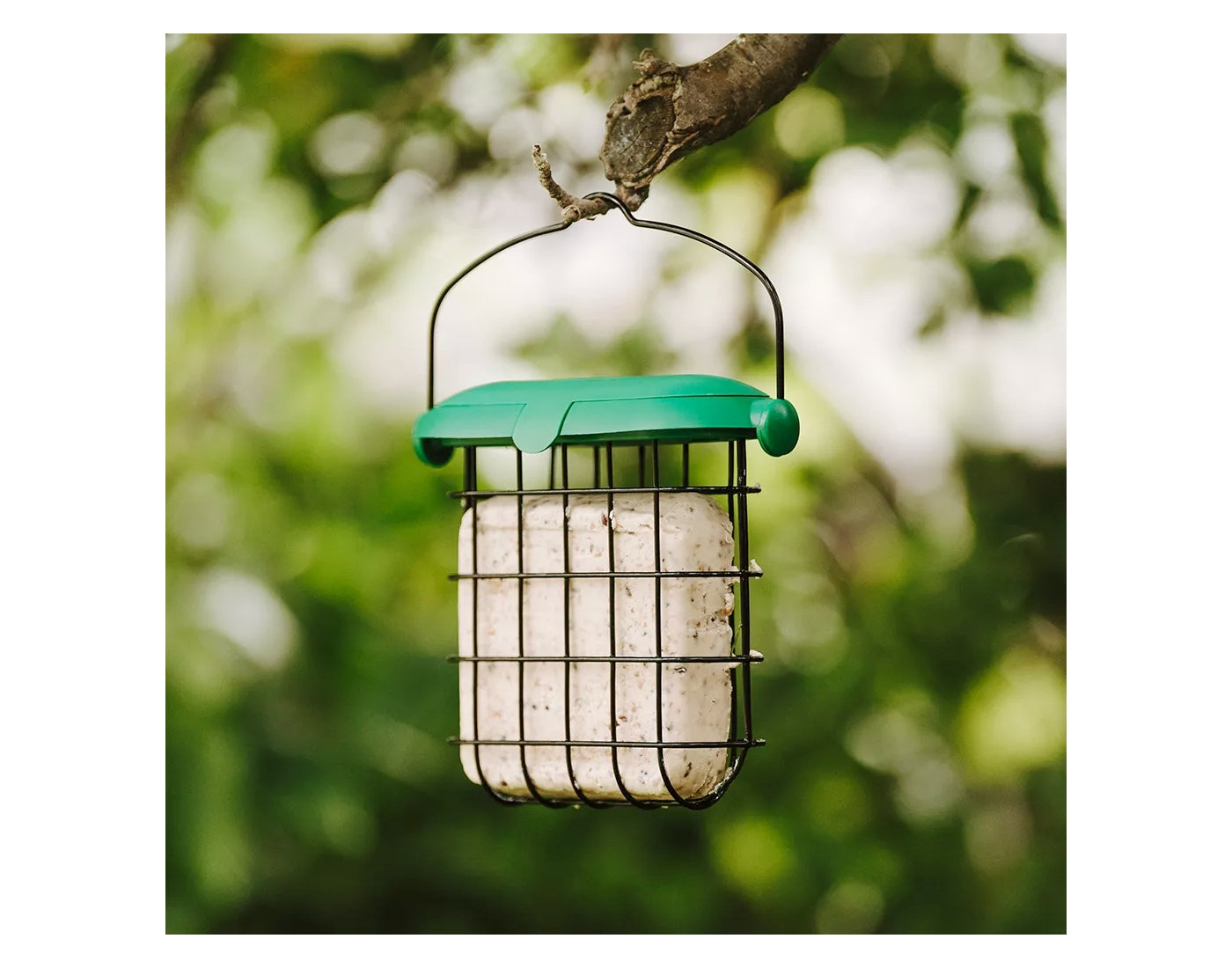 Gardman Flip Top Suet Feast Feeder | Wild Bird Care - Buy Online SPR Centre UK