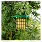 Gardman Flip Top Suet Feast Feeder | Wild Bird Care - Buy Online SPR Centre UK
