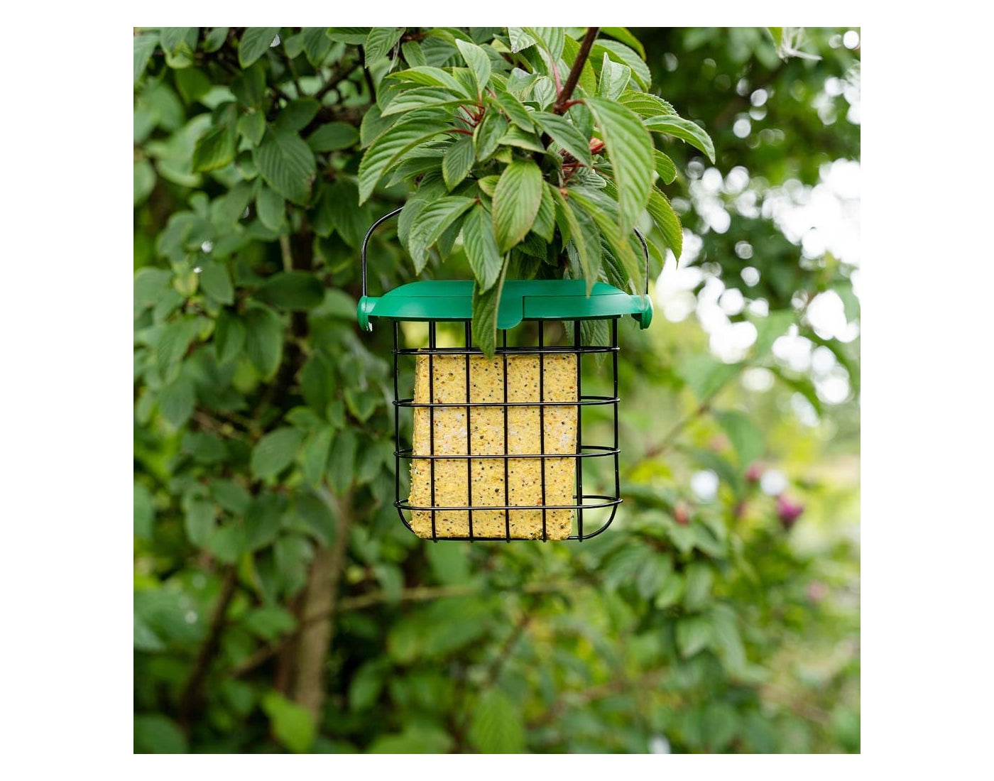 Gardman Flip Top Suet Feast Feeder | Wild Bird Care - Buy Online SPR Centre UK