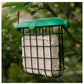 Gardman Flip Top Suet Feast Feeder | Wild Bird Care - Buy Online SPR Centre UK