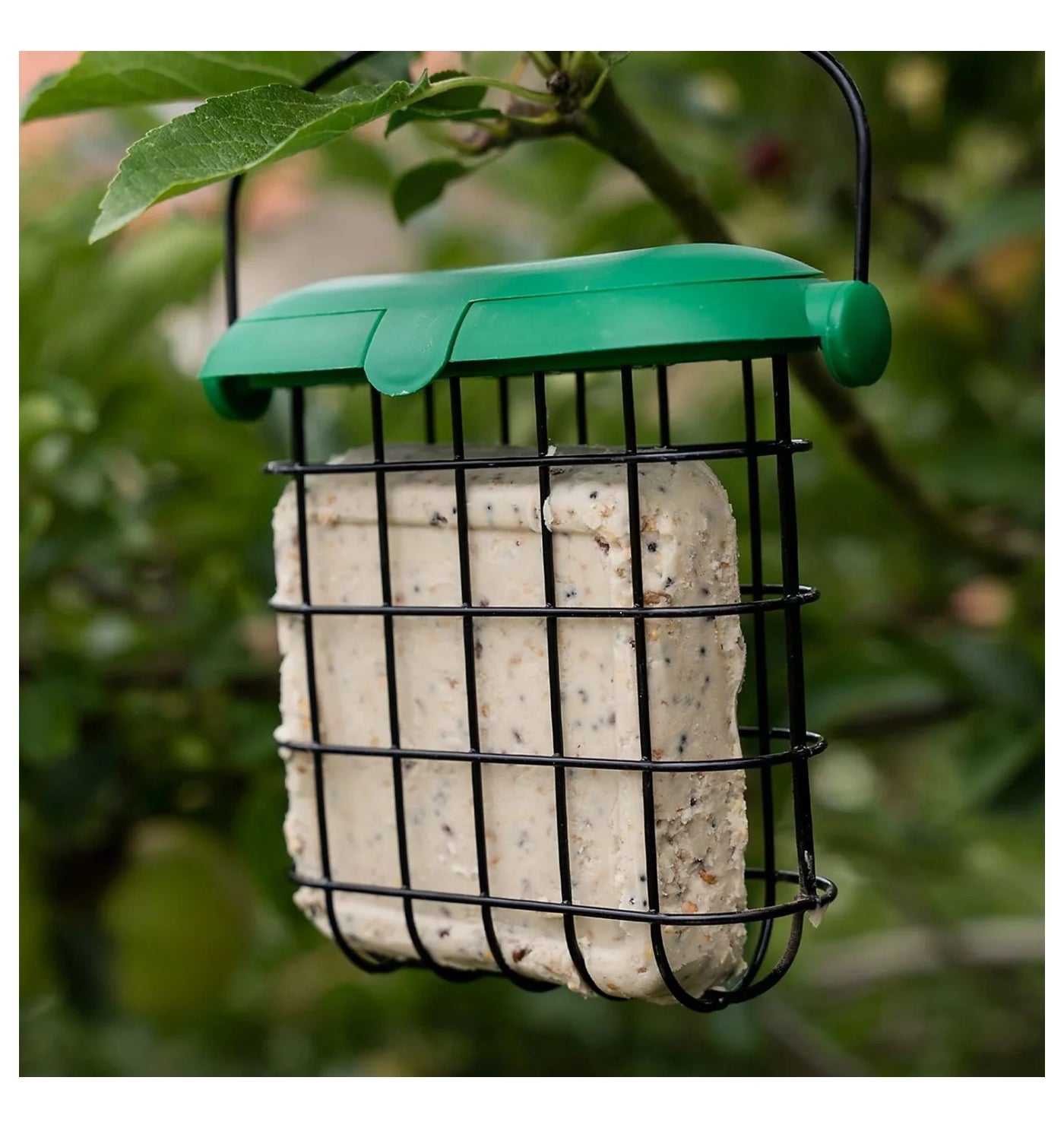 Gardman Flip Top Suet Feast Feeder | Wild Bird Care - Buy Online SPR Centre UK