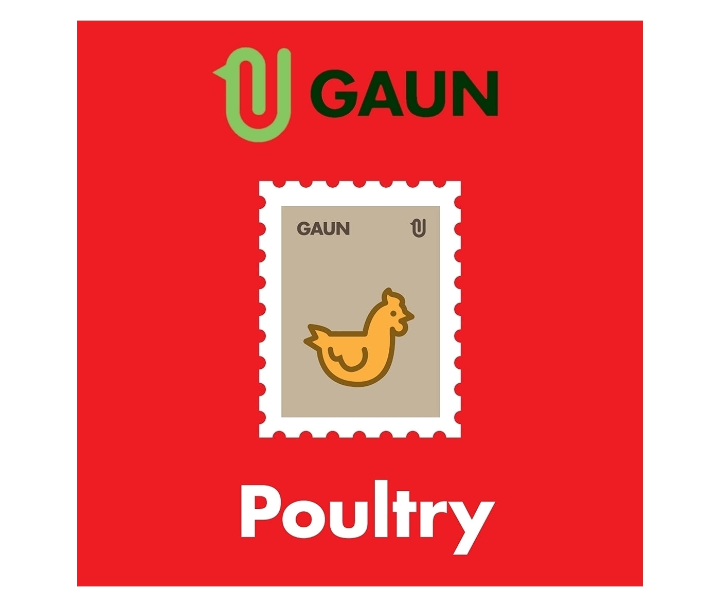 Gaun - Chick Feeder 2kg Capacity | Poultry Feeders - Buy Online SPR Centre UK