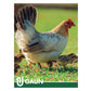 Gaun - Wooden Chicken Swing - Buy Online SPR Centre UK