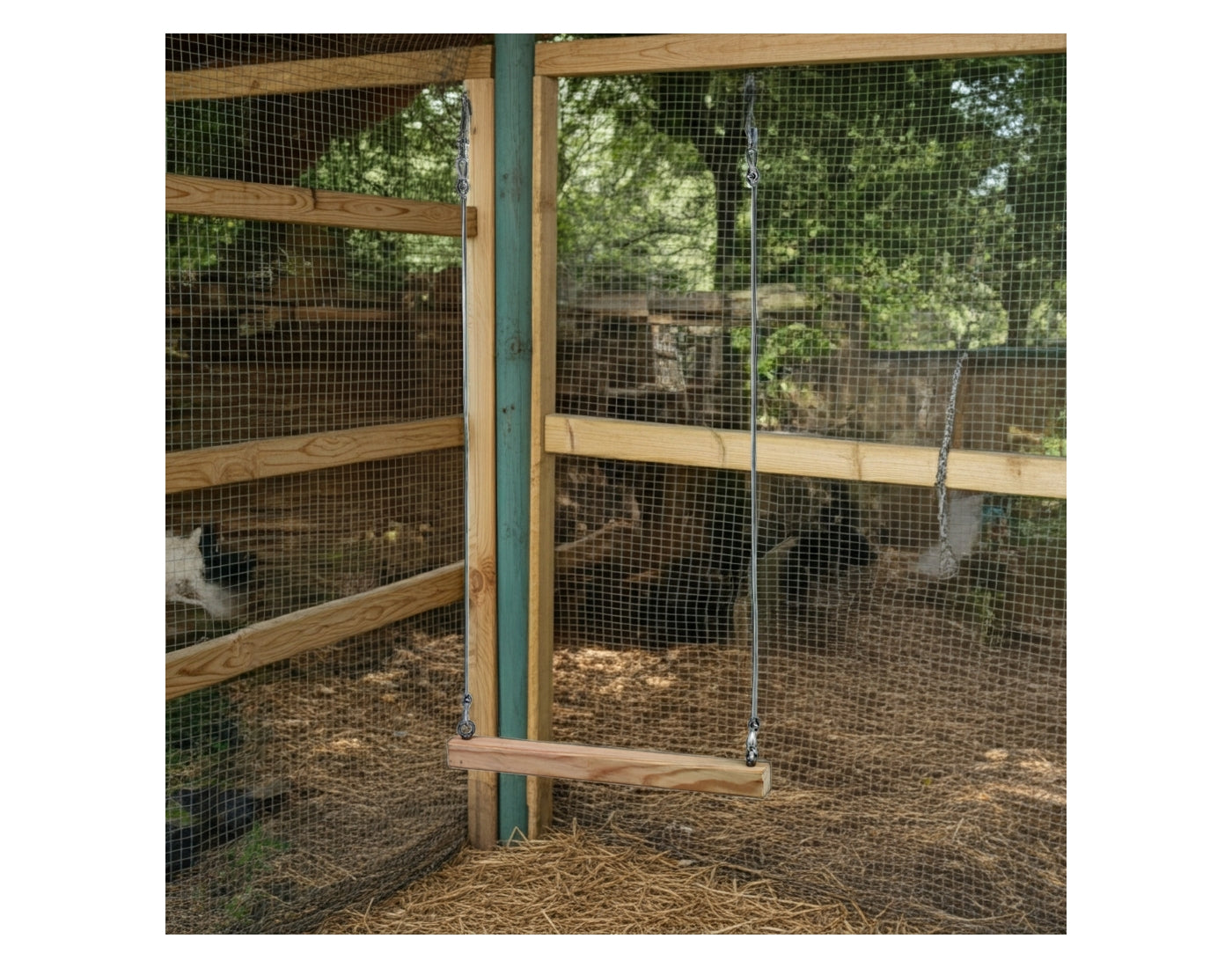 Gaun - Wooden Chicken Swing - Buy Online SPR Centre UK