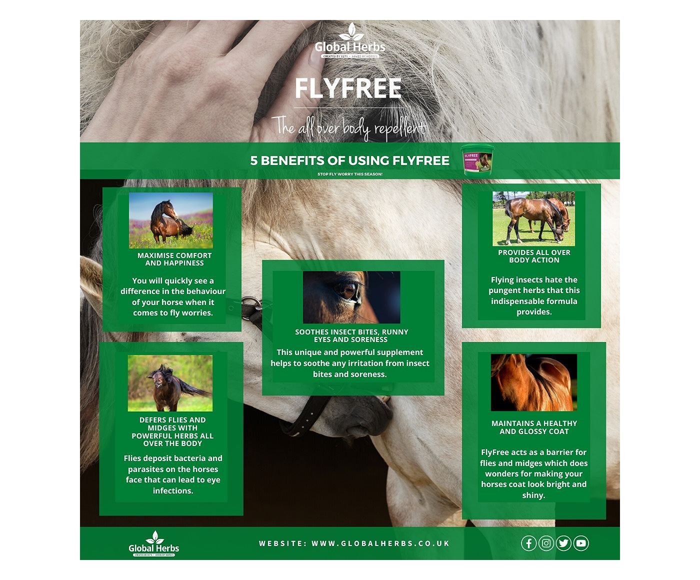 Global Herbs FlyFree 1kg | Horse Supplement - Buy Online SPR Centre UK