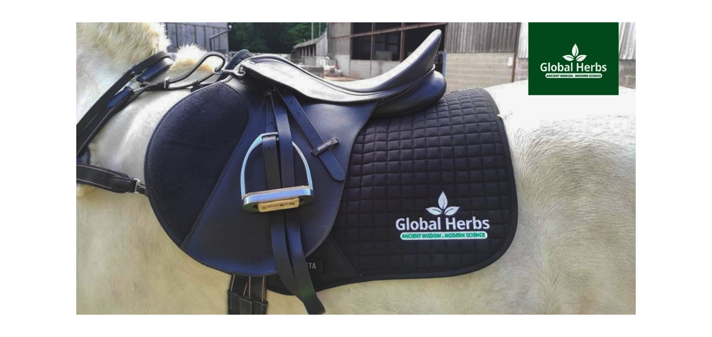 Global Herbs Mint Herbal Treats 3kg | Horse Treats - Buy Online SPR Centre UK