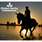 Global Herbs FlyFree 1kg | Horse Supplement - Buy Online SPR Centre UK