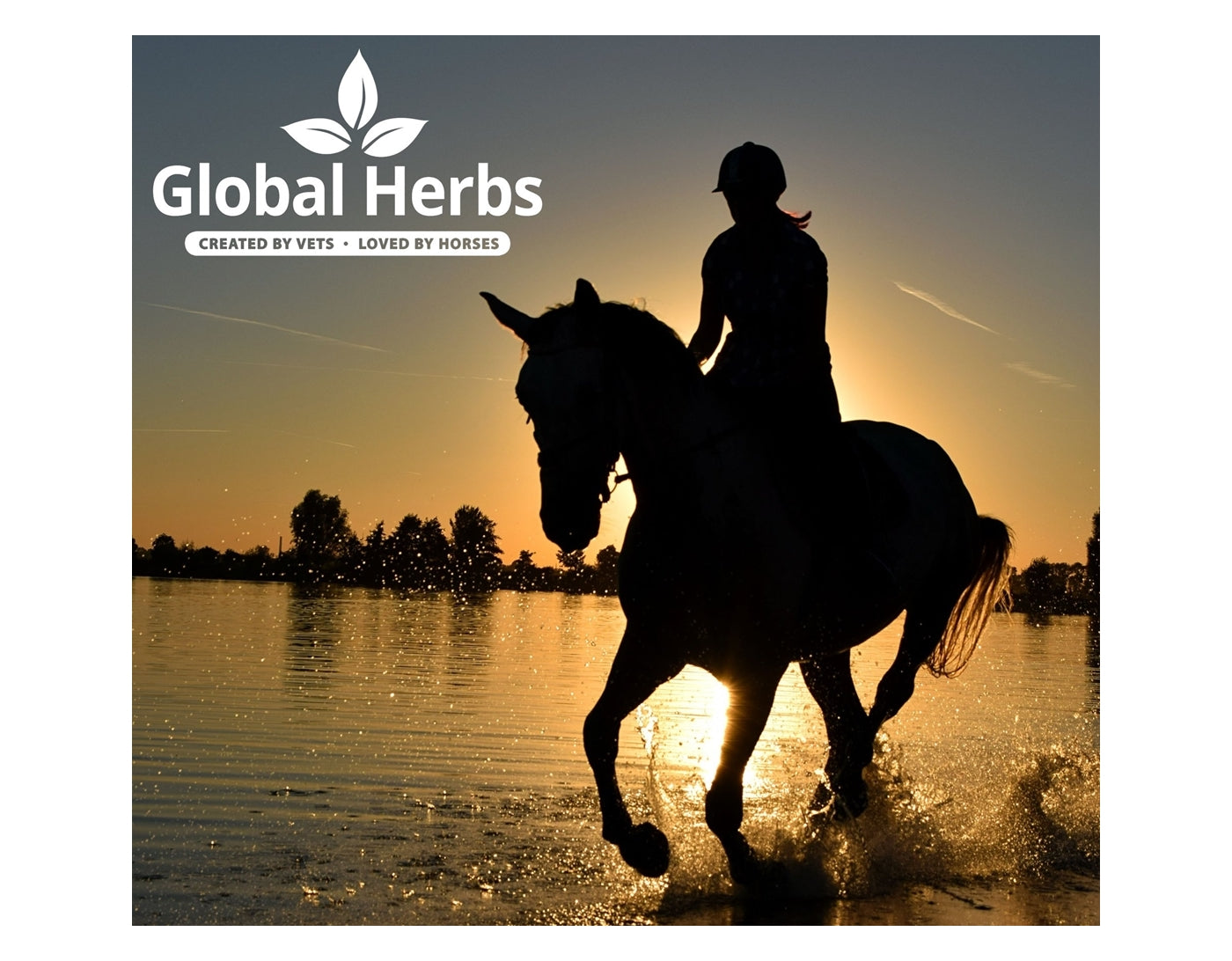 Global Herbs FlyFree 1kg | Horse Supplement - Buy Online SPR Centre UK